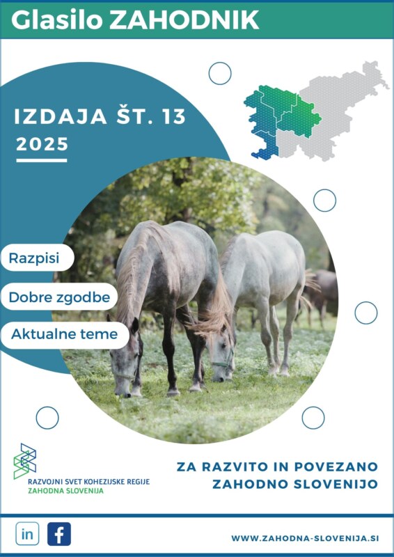 Zahodnik, 13. Izdaja Naslovnica